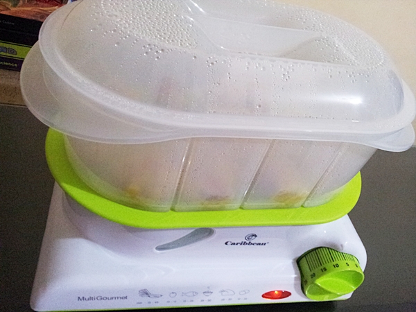 electric steamer for siomai