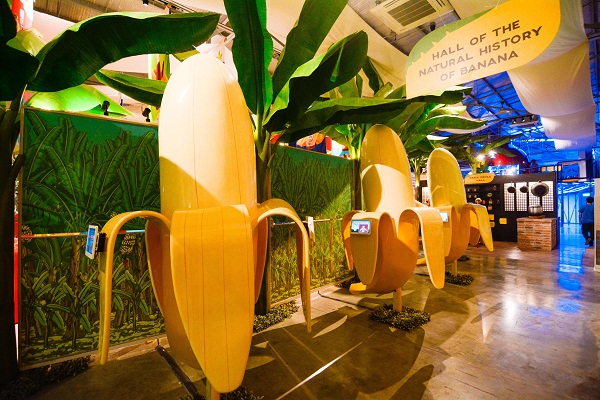 The Catsup Museum - Hall of the Natural History of Banana