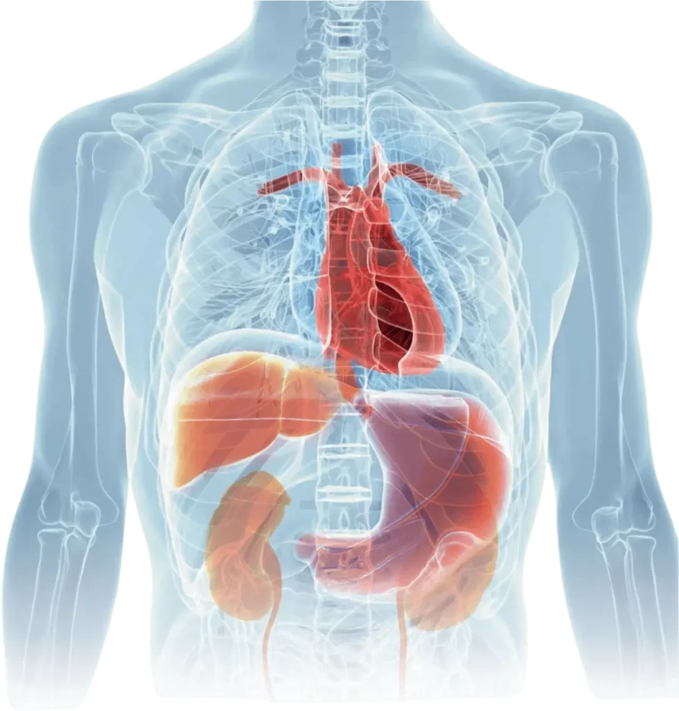 Bridging Gaps in Healthcare: GPCCI Roundtable Calls for Unified Action on Cardio-Renal-Metabolic Care