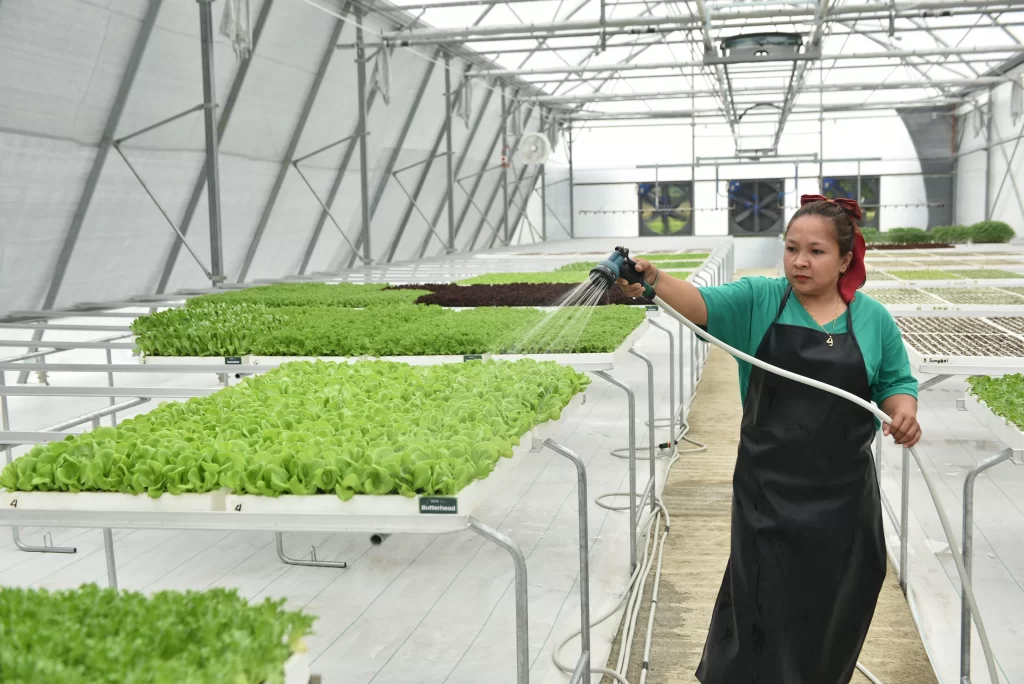 More Veggies Please Expands Access to Farm-Fresh Produce in Metro Manila Starting at S&R