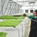 More Veggies Please Expands Access to Farm-Fresh Produce in Metro Manila Starting at S&R